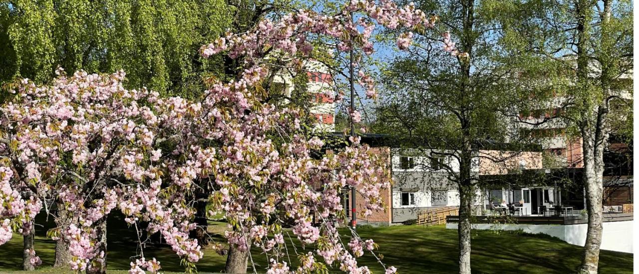 Emma Gjestehus Sandvika Dış mekan fotoğraf